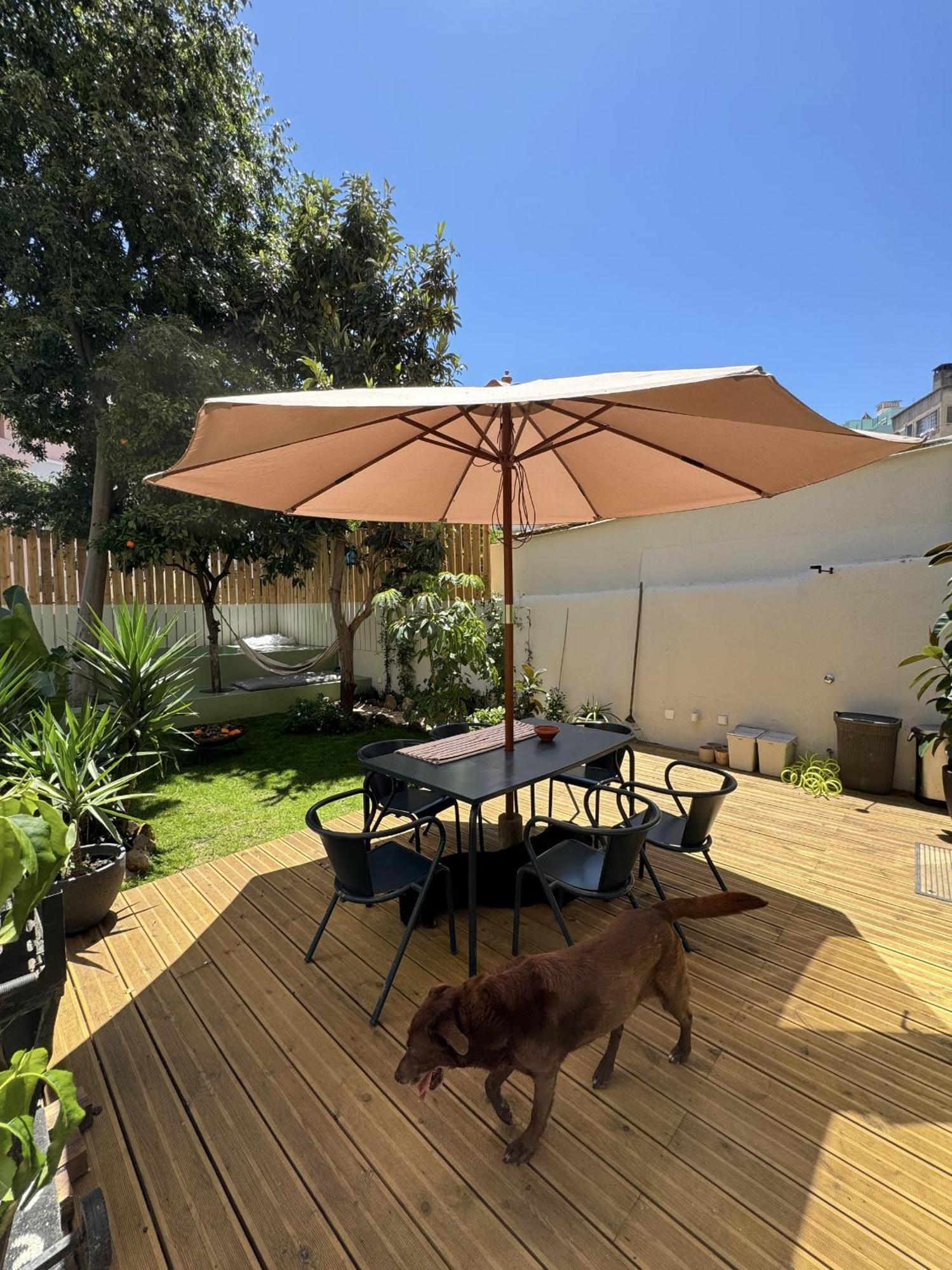 Contemporary Oasis In The Heart Of Lejlighed Lisboa